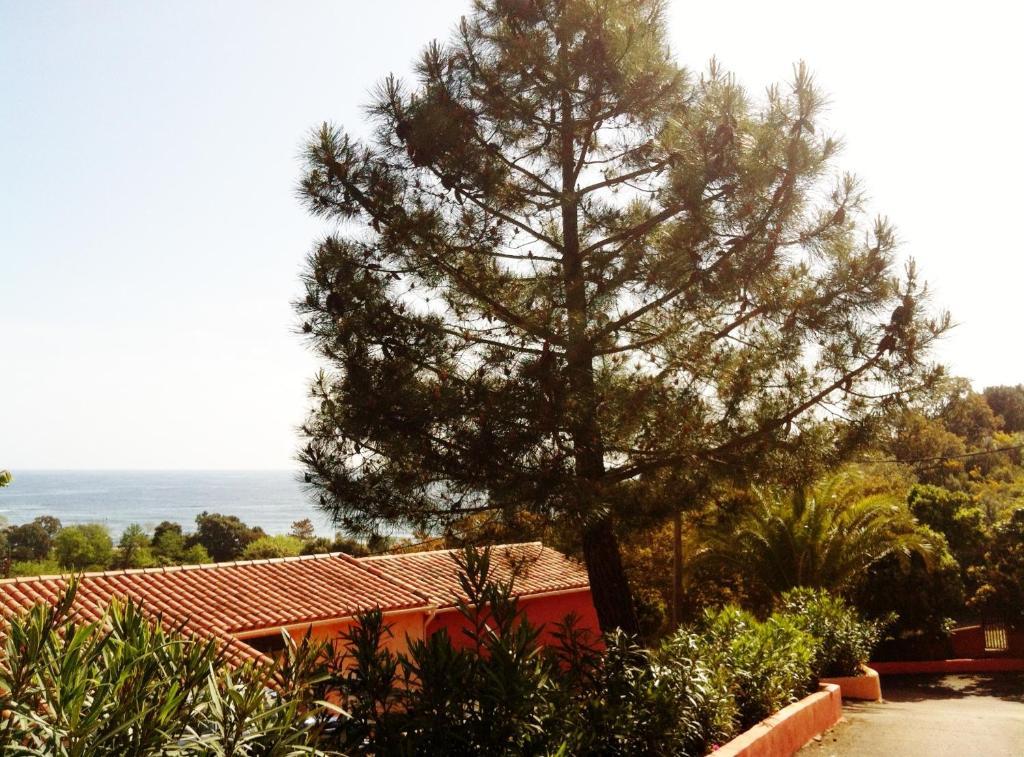 Hotel Residence San Pieru Tarcu Экстерьер фото