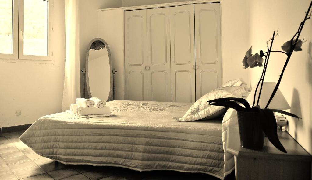 Hotel Residence San Pieru Tarcu Экстерьер фото