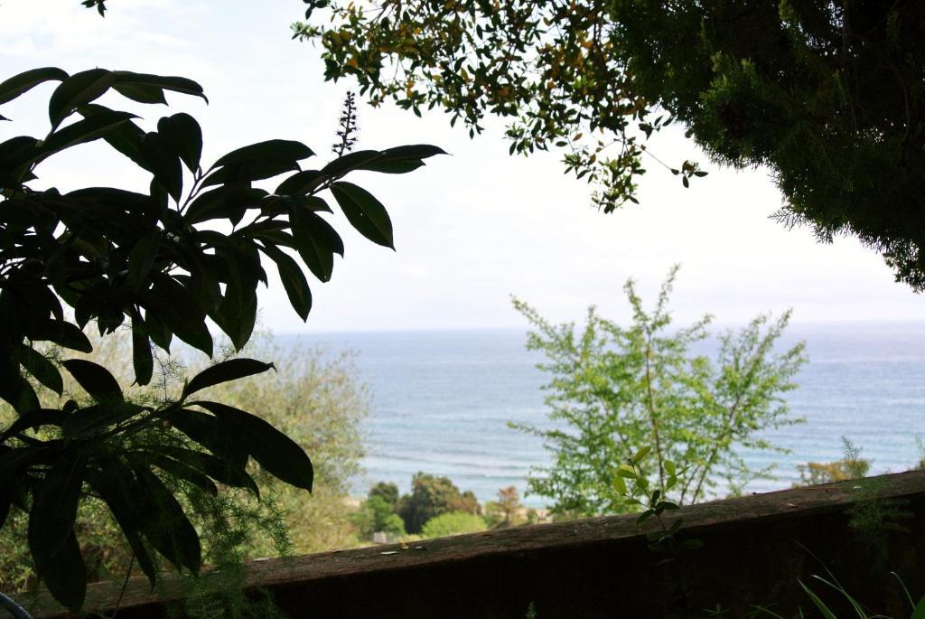 Hotel Residence San Pieru Tarcu Экстерьер фото
