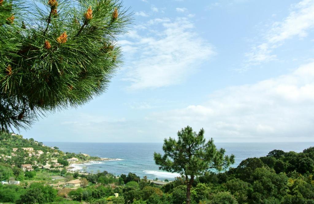 Hotel Residence San Pieru Tarcu Экстерьер фото